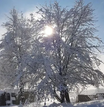 Gæstehus Sportpension Alpenrose 4*