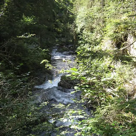 Sportpension Alpenrose Gæstehus Schladming