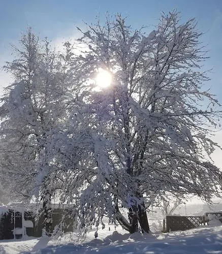 Pensjonat Sportpension Alpenrose 4*