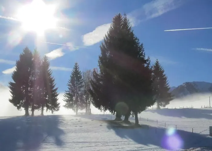 Sportpension Alpenrose 4*