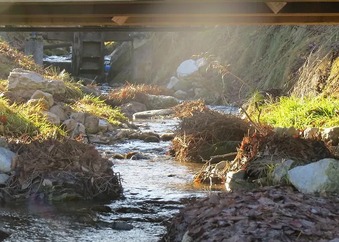 Sportpension Alpenrose 4* Шладминг