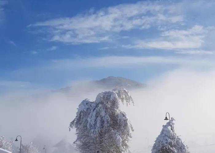 Sportpension Alpenrose Guest house